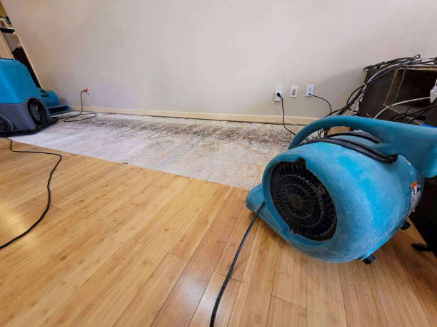 Professional Water Damage Repair technician working in Mount Orab, OH